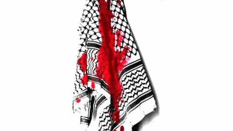 Free Palestina